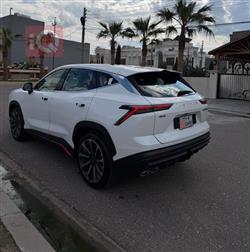 جیتۆر داشينگ